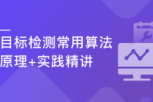 深度学习之目标检测常用算法原理+实践精讲（完结）