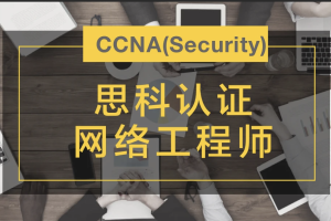 思科网络认证工程师 CCNA 373班