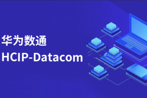 华为HCIP datacom二期